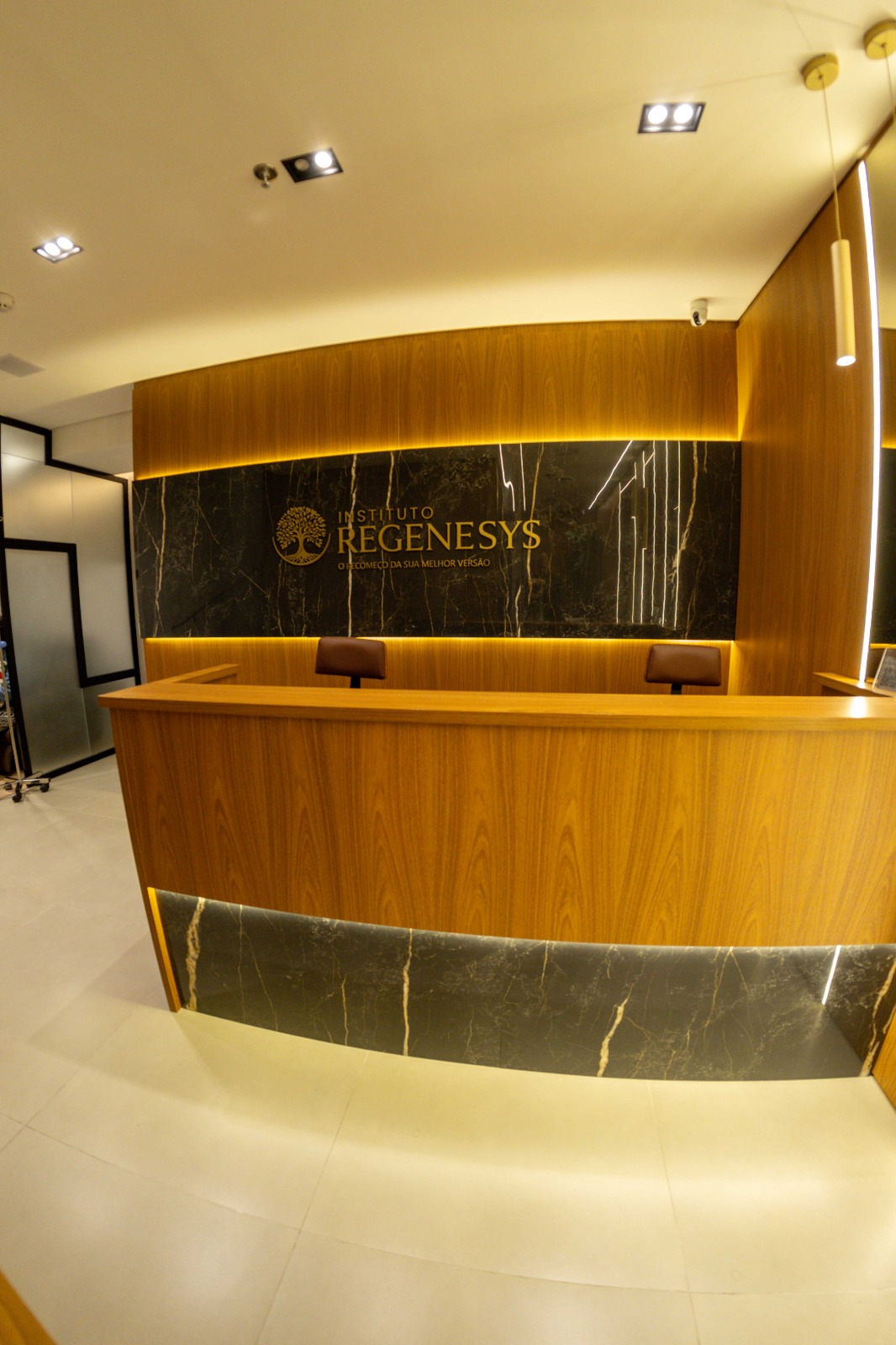 Recepção do Instituto Regenesys